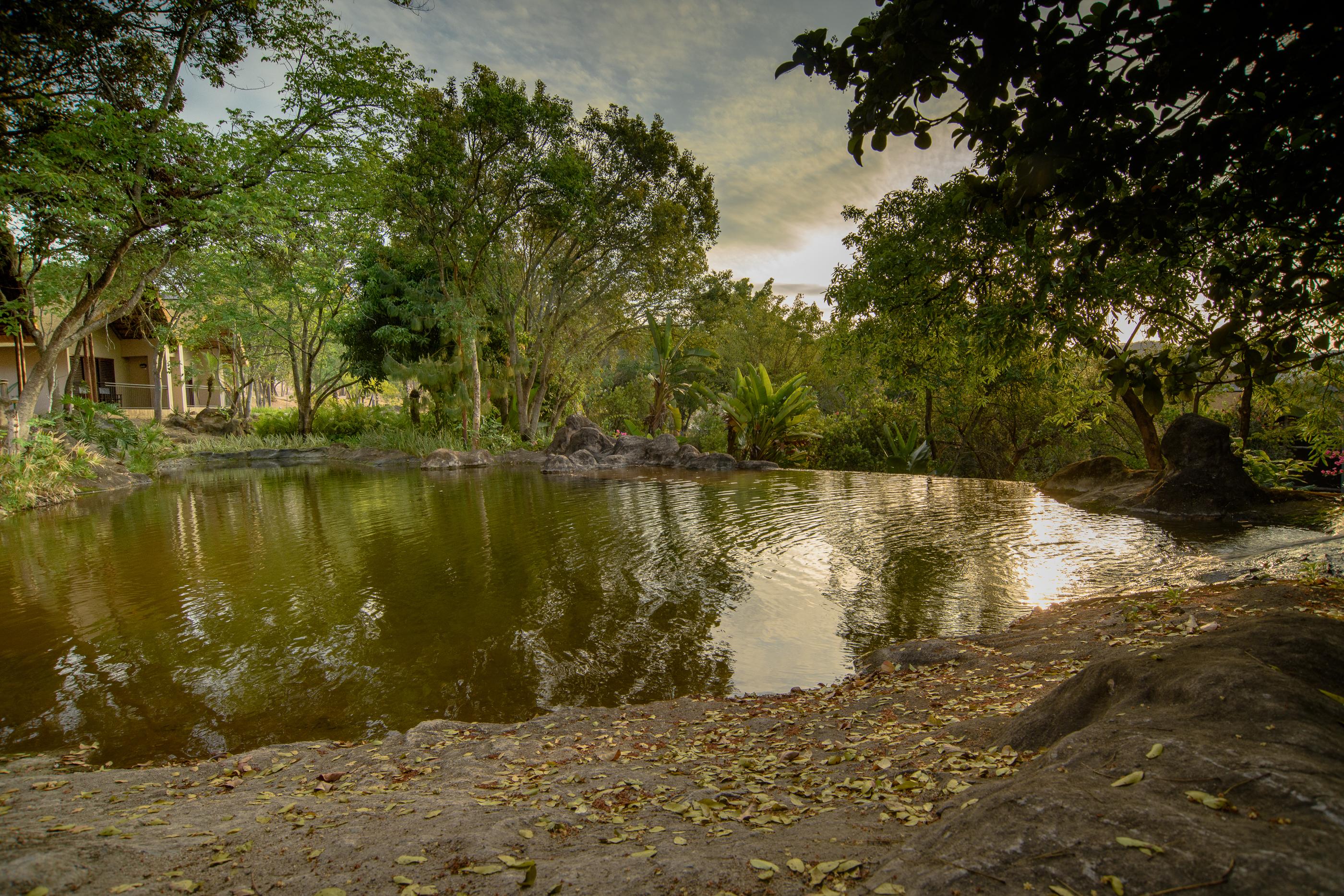Umbhaba Eco Lodge Hazyview Εξωτερικό φωτογραφία